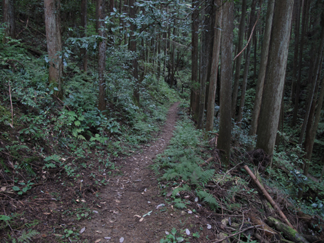 20161007hike (219)